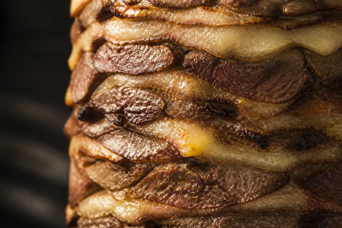 Coupe rapprochée d&rsquo;une broche de kebab montrant l&rsquo;empilement des tranches de viande et des couches de graisse